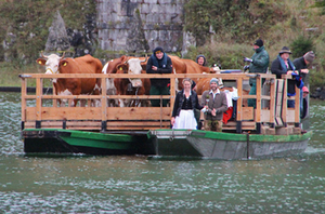 Almabtrieb Königssee 06 Oktober 2017