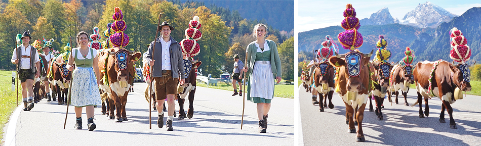 Almabtrieb Königssee Fischunkel 2024