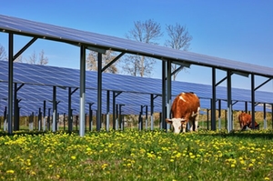 Agri-PV-Anlage Eichfeld Übersee