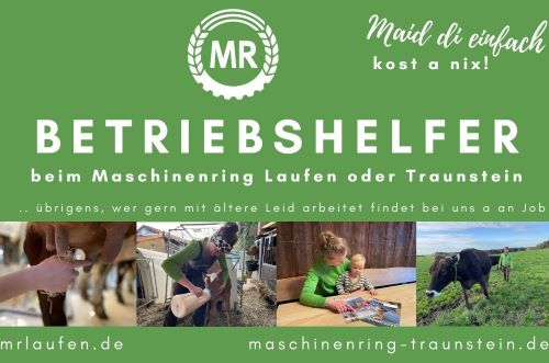 Betriebshelfer Mr Laufen Gesucht Neu