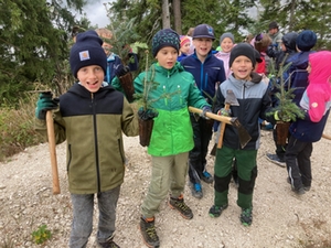 Schüler pflanzen Bäume