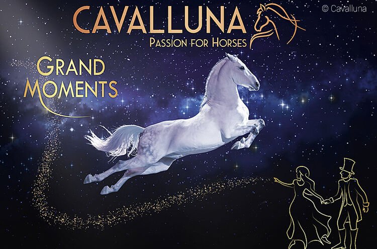 Cavalluna Banner