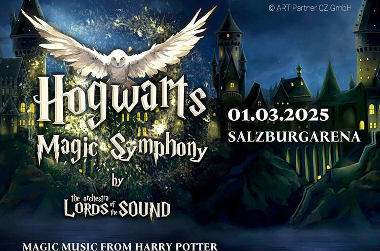 Hogwarts Banner