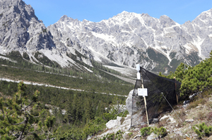 Malaise-Falle Nationalpark Berchtesgaden 