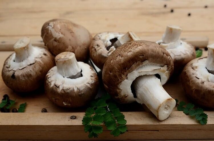 Mushrooms 8618284 640